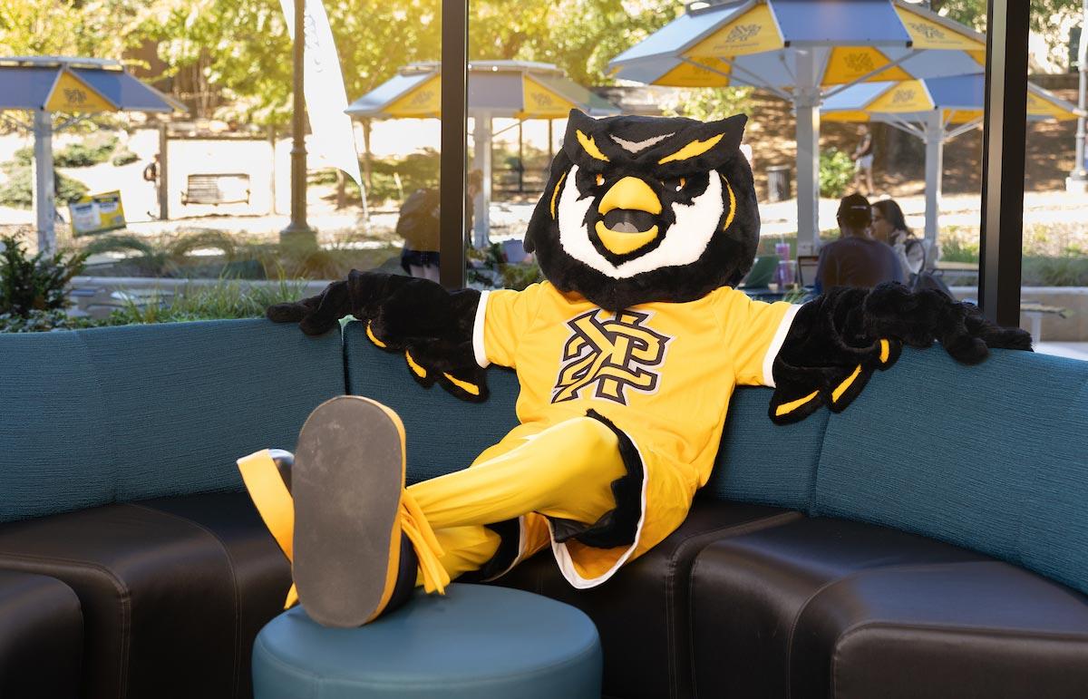 Scrappy relaxing in student center.